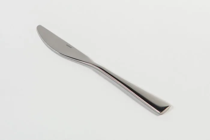 Pääruokaveitsi 220mm